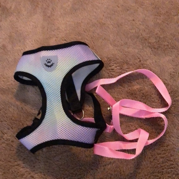 Ombré breathable harness with leash - Picture 4 of 4